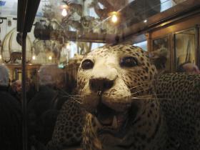 Mus&eacute;e de la chasse et de la nature