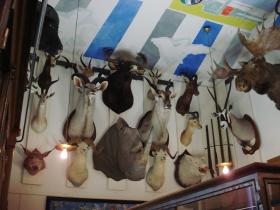 Mus&eacute;e de la chasse et de la nature