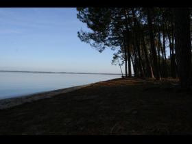Etang de Cazaux-Sanguinet
