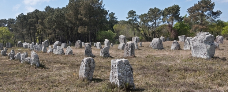 Photo Les alignements de Carnac  - voyage Carnac
