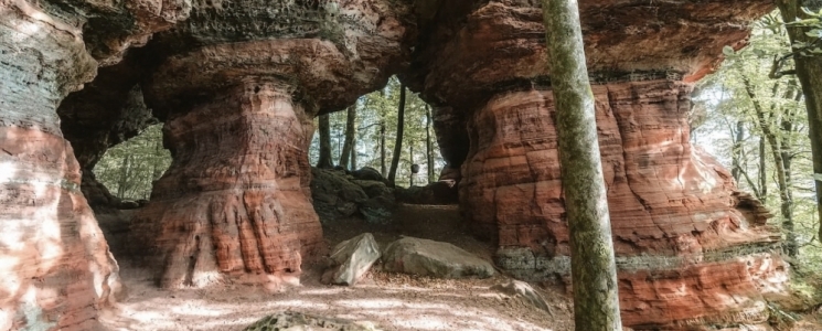 Photo Randonn&eacute;e &agrave; Altschlossfelsen : un d&eacute;cor de conte de f&eacute;es dans le Pays de Bitche - voyage Eppenbrunn