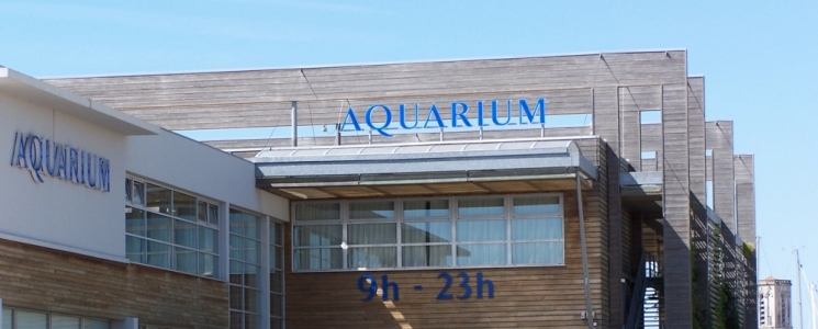 Photo Aquarium de La Rochelle - voyage La Rochelle
