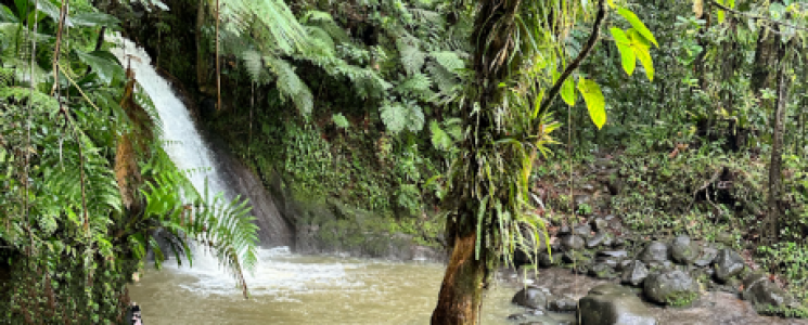 Photo La Cascade aux &Eacute;crevisses - voyage Petit-Bourg