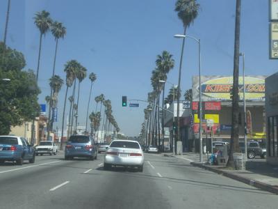 Photo Sunset Boulevard - voyage Los Angeles
