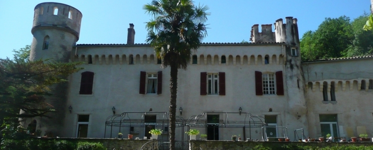 Photo Le Ch&acirc;teau de Calvi&egrave;res  - voyage Saint-Laurent-d'Aigouze
