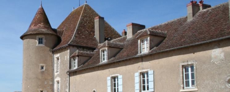 Photo Le Ch&acirc;teau de Naillac - voyage Le Blanc
