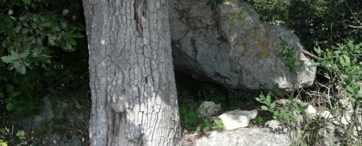 Photo Le Dolmen de Chantepierre - voyage Broc
