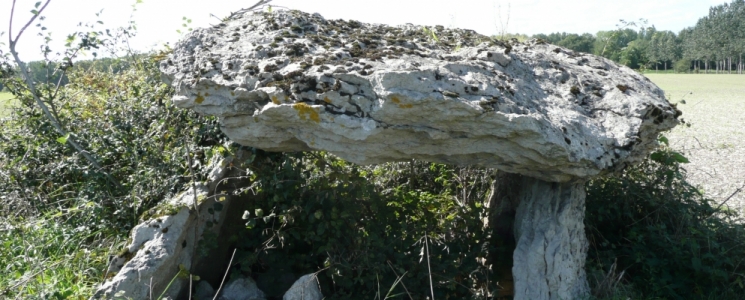 Photo Le Dolmen de la Pierre couverte de la Planche - voyage Broc
