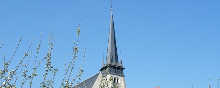 Photo L'&eacute;glise Saint Martin d'Ouzouer sur Tr&eacute;z&eacute;e - voyage Ouzouer-sur-Trézée
