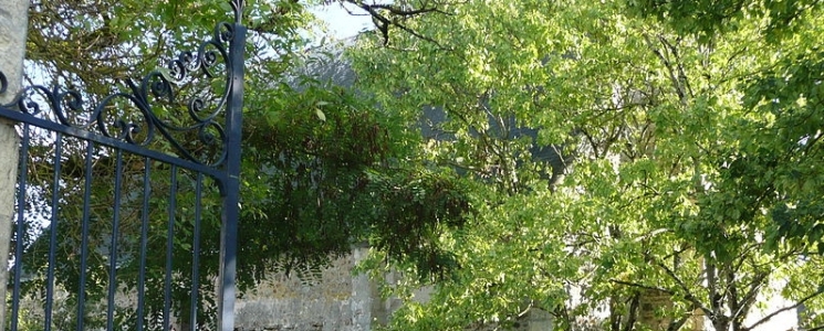 Photo L'&eacute;glise Saint Alman - voyage Brissac-Quincé
