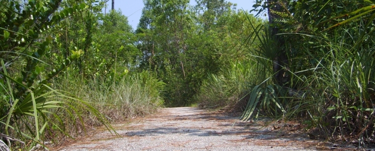 Photo Parc National des Everglades - voyage Monroe