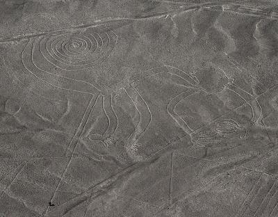 Photo Les G&eacute;oglyphes de Nazca - voyage Nazca
