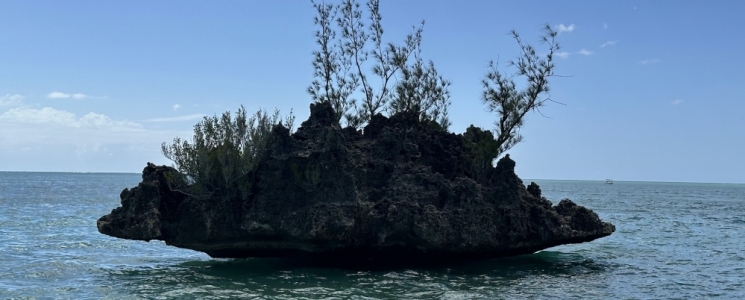 Photo L&rsquo;&icirc;le aux B&eacute;nitiers &agrave; l&rsquo;&Icirc;le Maurice : excursion incontournable entre lagon turquoi - voyage Flic en Flac