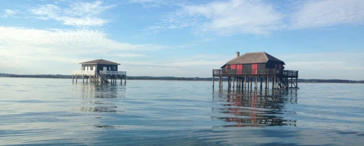 Photo &Icirc;le aux Oiseaux et cabanes tchanqu&eacute;es : le c&oelig;ur battant (et flottant) du Bassin d&rsquo;Arcachon - voyage Arcachon
