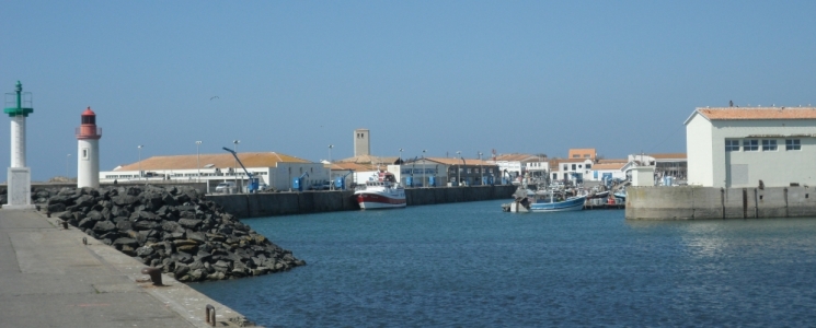 Photo la Cotini&egrave;re - voyage Saint-Pierre-d'Oléron
