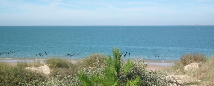 Photo La Plage de Boyardville - voyage Saint-Georges-d'Oléron
