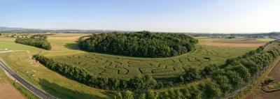 Photo Labyrinthe Vegetal - voyage Meximieux
