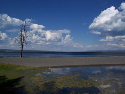 Photo Lac Yellowstone - voyage Wyoming