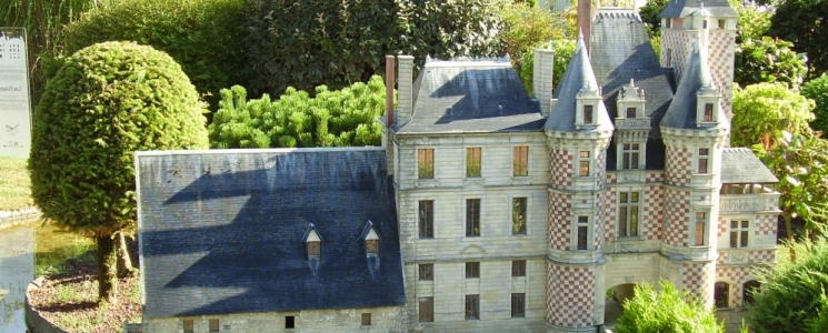 Photo Le Ch&acirc;teau des R&eacute;aux - voyage Chouzé-sur-Loire
