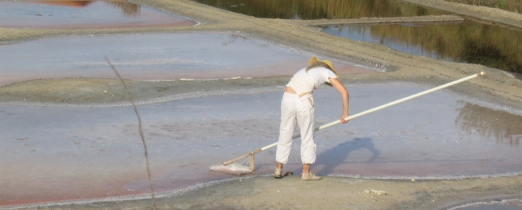 Photo Le Mus&eacute;e de l'&icirc;le d'Ol&eacute;ron - voyage Saint-Pierre-d'Oléron
