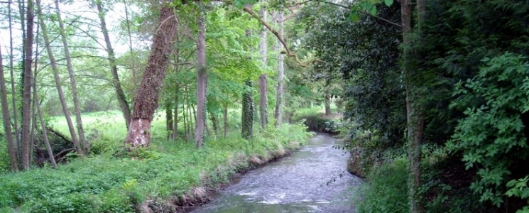 Photo Les chemins de randonn&eacute;e - voyage Luché-Pringé
