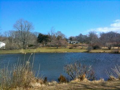 Photo Les Hamptons - voyage Hampton