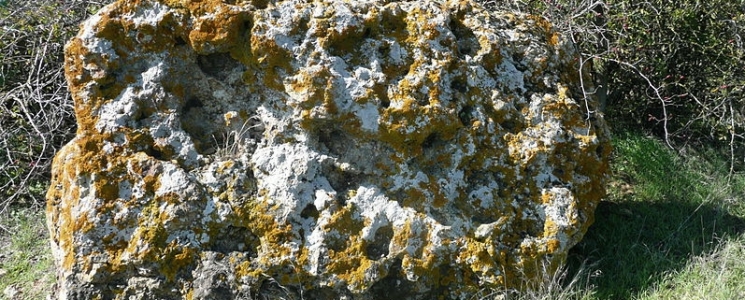 Photo Les M&eacute;galithes de Montreuil Bellay - voyage Montreuil-Bellay
