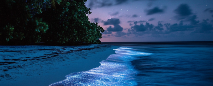 Photo Maldives : 10 exp&eacute;riences uniques &agrave; vivre entre terre et mer - voyage Malé