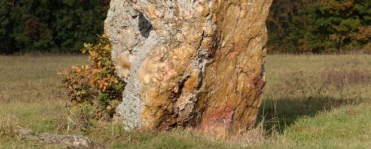 Photo Le Menhir de Vaujours - voyage Château-la-Vallière
