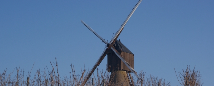 Photo Le Moulin &agrave; vent de la Pinsonnerie - voyage Faye-d'Anjou
