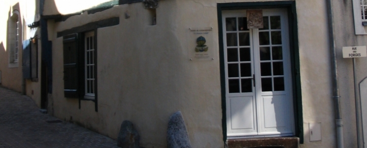 Photo Le Mus&eacute;e de l'Homme Volant - voyage Sablé-sur-Sarthe
