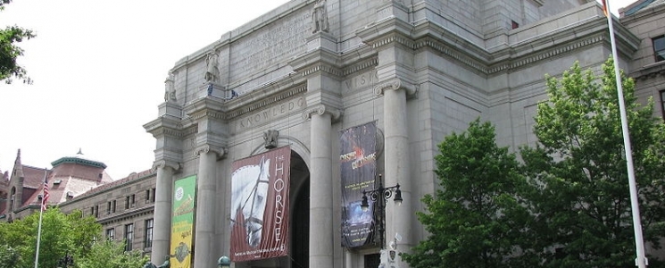 Photo Mus&eacute;e Am&eacute;ricain d'Histoire Naturelle - voyage New York