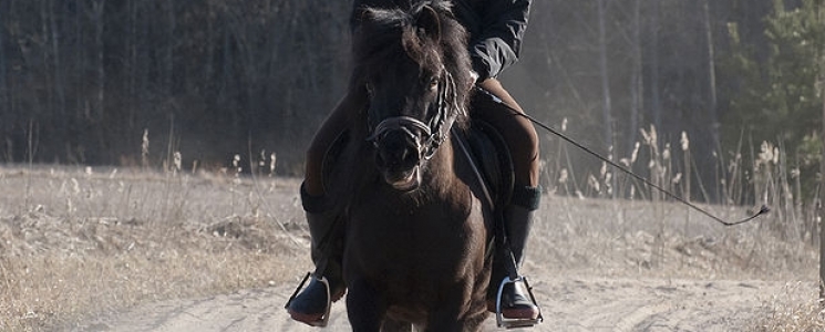 Photo Le Parc de Loisir de l'&eacute;tang de Brissac - voyage Brissac-Quincé
