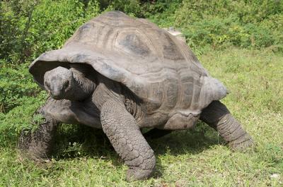 Photo Le Parc Haller - voyage Mombasa