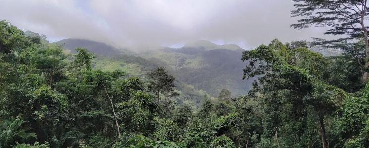 Photo Parc national du Morne - voyage Mahé