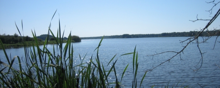Photo Le Parc Naturel R&eacute;gional de la Brenne - voyage Azay-le-Ferron
