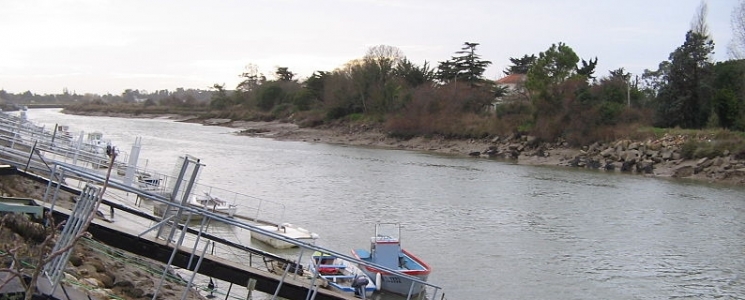 Photo Le Port de Boyardville - voyage Saint-Georges-d'Oléron
