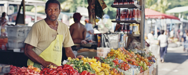 Photo Le march&eacute; de Sainte-Anne - voyage Sainte-Anne